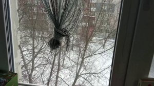 Подарок мужу на 23 февраля 🕺Покупка продуктов в Магнит 871₽🥝🥖🧃