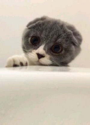 я в игровой комнате заходи!