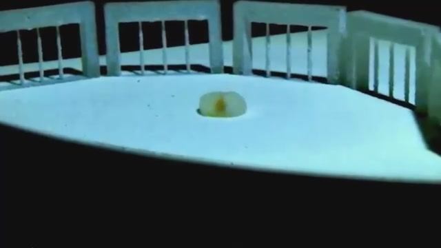 Учёные создали робота из жидкости