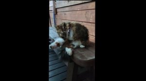 Карелия День второй