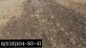 Дискатор Карбон 2 (online-video-cutter.com)