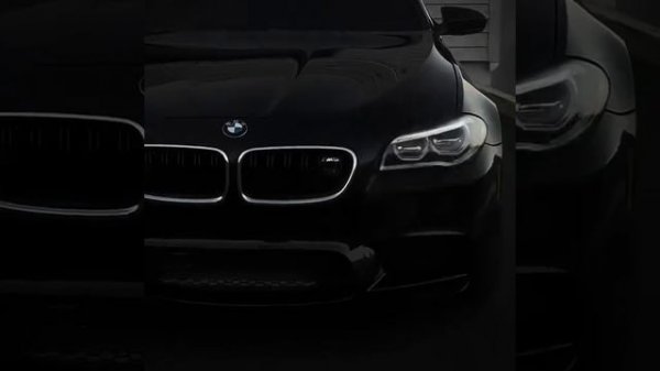 VID_20260211_094151_392.mp4