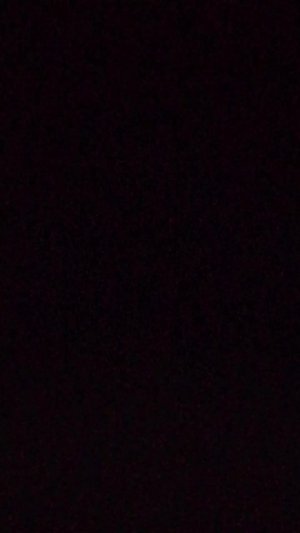 лисий нора ночной