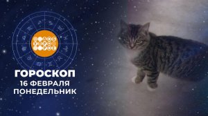 Гороскоп на 16 февраля для всех знаков зодиака
