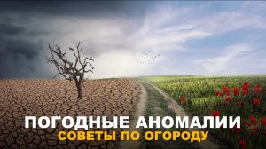 ПЛЮСЫ И МИНУСЫ ИЗМЕНЕНИЯ КЛИМАТА ДЛЯ ОГОРОДА. Влияние тёплой зимы на растения.