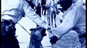 Официальный трейлер "4 маленькие девочки / Four Little Girls (1997)"