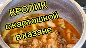 Кролик с артошкой в афганском казане. Пальчики оближешь