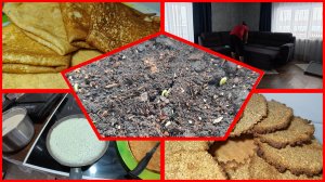 15.02.2026 // Уборка // Первые всходы // Стряпаю блинчики и овсяные вафли