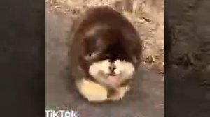 кому не трудно сделайте разоблачения на меня🥺🥺🥺