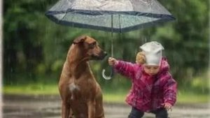 Эхо добрых дел. С днём проявления доброты. Роскошная музыкальная открытка.