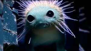 Путешествие в загадочный подводный мир океана! 🌊✨ Нырнём в подводное приключение! 🏊♂️