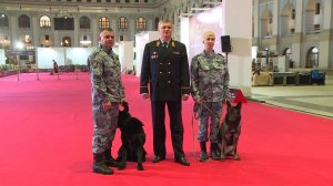 Полицейские-кинологи МВД России награждены на ежегодной церемонии «Лучшие собаки России-2025»