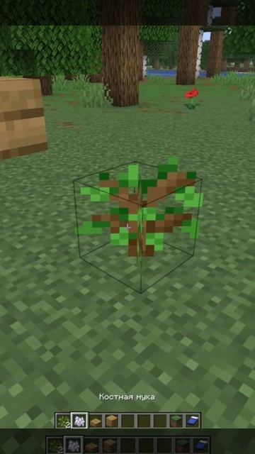 КАК ВЫРАСТИТЬ БОЛЬШОЕ ДЕРЕВО В МАНКРАФТЕ