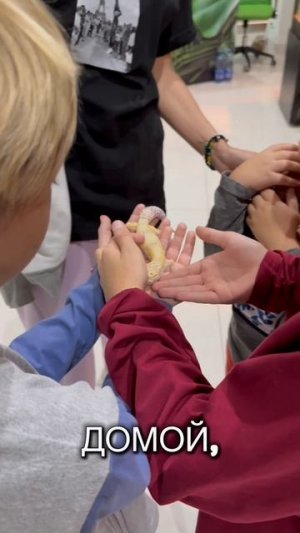 они такие милики #топ#тренд #эдит#тренды#топчик