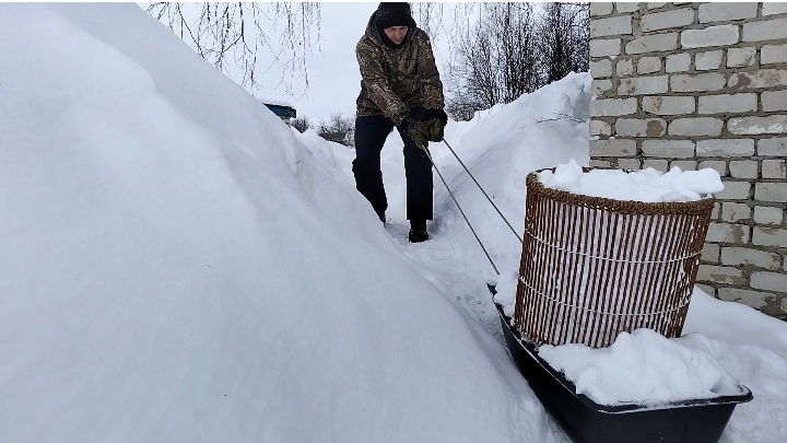 53. Всюду снег. Не забываем птичек. Берёзовый сок зимой. Глубина снега в феврале