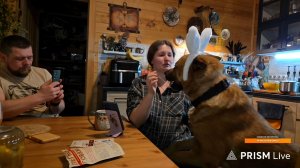 Запись стрима с ютуба, часть 2. 16.02.26. Пёс Кубик делает заиньку на кухне