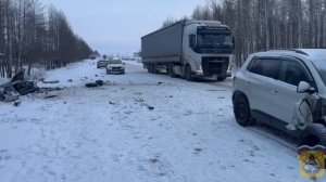 В Шадринском округе в ДТП погиб пассажир.16.02.2026
