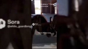 СЕЛО МОЛОЧНОЕ И TX2X2