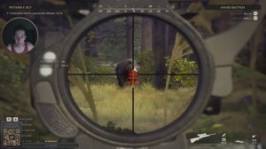 Way of the Hunter | Барибал (чёрный медведь)