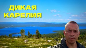 Карелия с севера на юг. Часть 1. Озеро Толванд. Сходил на Тюртойву, привыкаю к жаре, съел гнус.