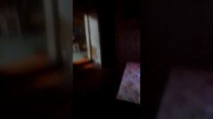 VID_20260216_033538.mp4