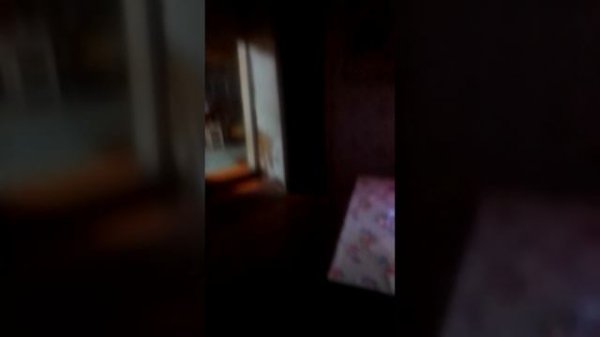 VID_20260216_033538.mp4