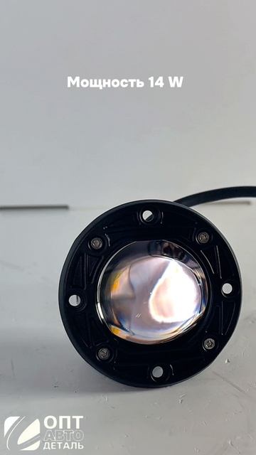 птф универсальные