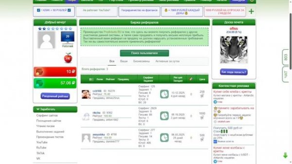 Prodvisots | платформа для заработка и рекламы