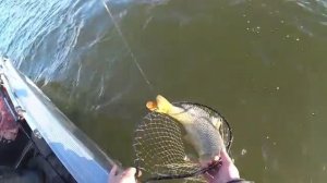 Я НЕ МОГУ ЕГО ВЫТАЩИТЬ! МОЖЕТ ЭТО ОСЁТР! УДОЧКУ ВЫРЫВАЕТ ИЗ РУК! НА РЫБАЛКУ С ЖЕ