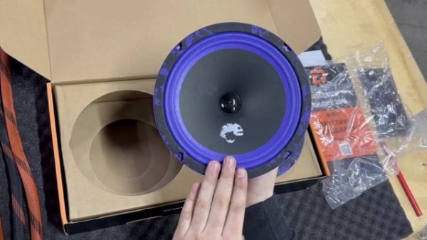 Обзор на динамики от компании DlAudio Piranha V2 200