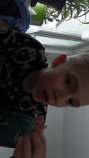 Стрим 3 или 4 😅