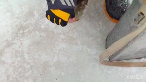 Спортзона.Поимки