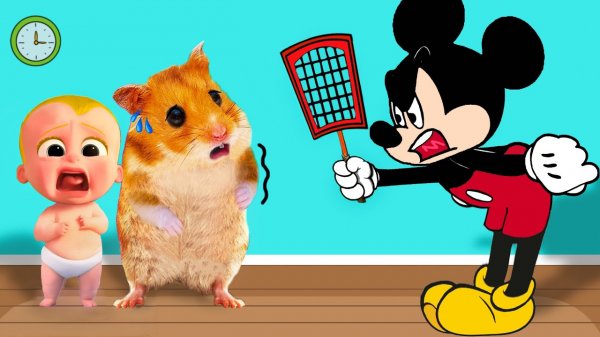 Мультики для детей. Мистер Хомяк и Том играют дома. Видео про хомяка, мультики
