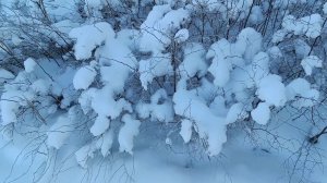 СНЕГ ПУШИСТЫЙ, СЛОВНО ВАТА