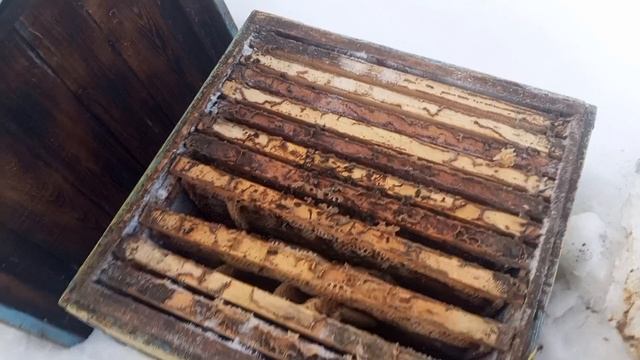 Еду на заброшенную пасеку....Часть 2. смотреть онлайн