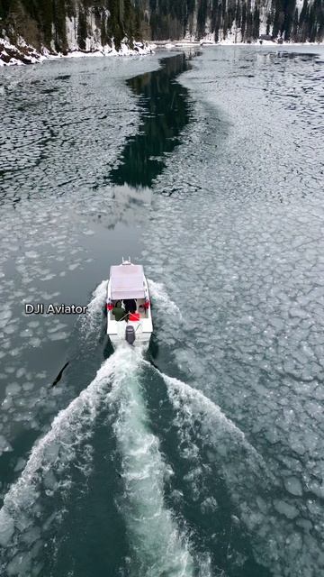 Катер на Рице