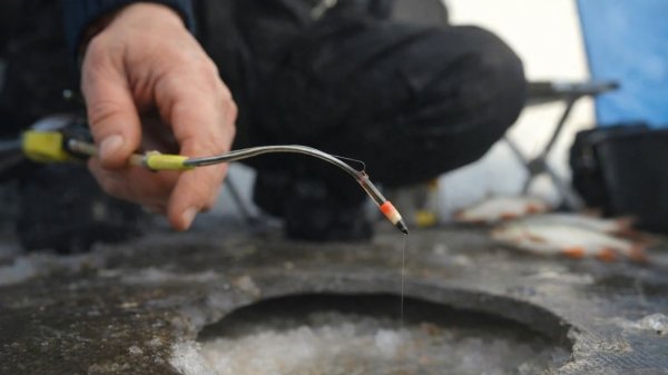КИВОК ШАТАЕТ КРУПНАЯ ПЛОТВА В ПАЛАТКЕ.