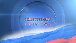 Общественная безопасность. Екатерина Аниськина