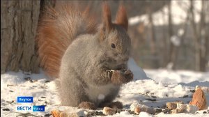 11:30 ВЕСТИ САХА 16/02/26 НА РУССКОМ ЯЗЫКЕ