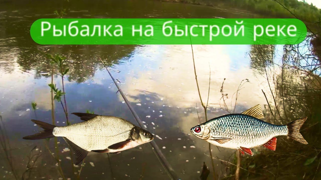 ✔Медитативная рыбалка  в мае прошлого года.✔