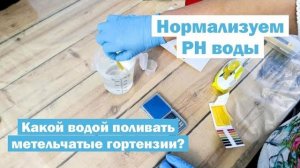 Как ЛЕГКО и НЕДОРОГО измерить и нормализовать PH воды для полива метельчатых гортензий