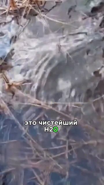 Трудно такое пройти🤷♂️