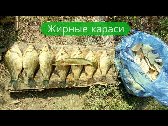 ✔Что лучше – рыбалка , или грибалка ?✔