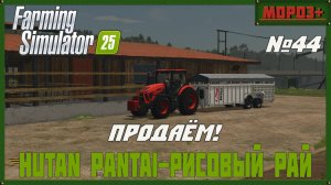 🟢Farming Simulator 25🟢. Карта  Hutan Pantai-Рисовый рай,  №44  Продаём !