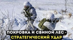 ПОКРОВКА И СВИНОЙ ЛЕС - СТРАТЕГИЧЕСКИЙ УДАР