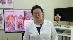 О.И. Шишова Как помочь своим надпочечникам