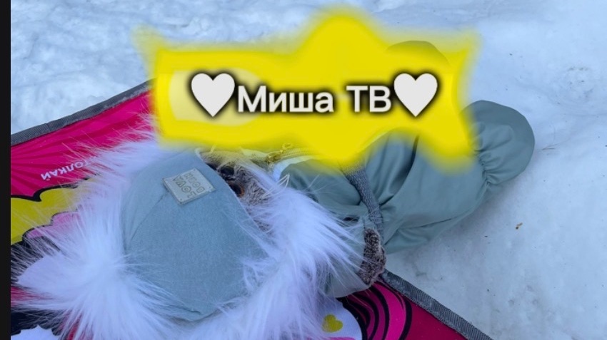 Миша ТВ//Миша гуляет вместе с другом//вчетвером в лесу первый раз.