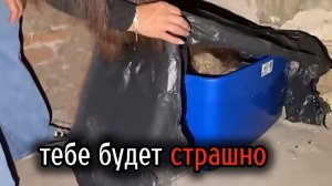 Новая жуткая подборка Самых Страшных Видео в Мире | Самые Ужасные Видео со Всего Мира #2