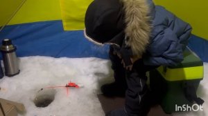 Лёва на Белом море ловит навагу