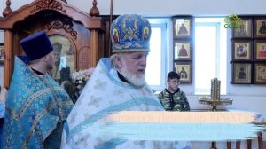 Кузбасский ковчег. 17 февраля 2026